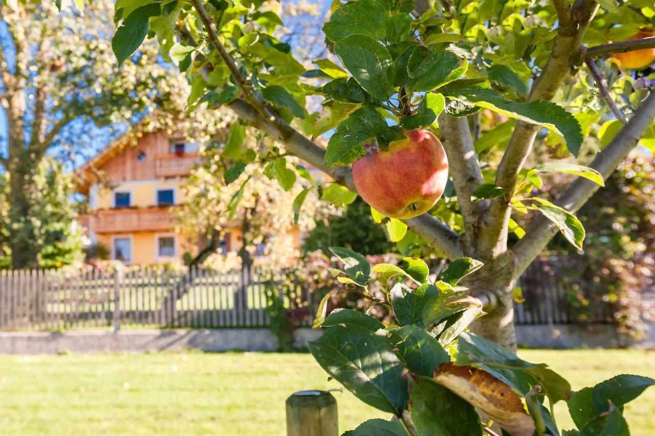 Girlinggut Schlafen Starten Salzburg Эликсхаузен Экстерьер фото